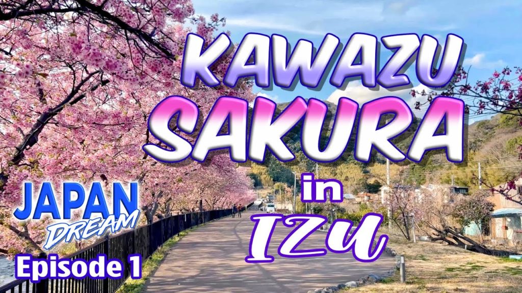 Kawazu Sakura | Japan Dream – Episode 1 Kawazu Sakura | Japan Dream - Episode 1