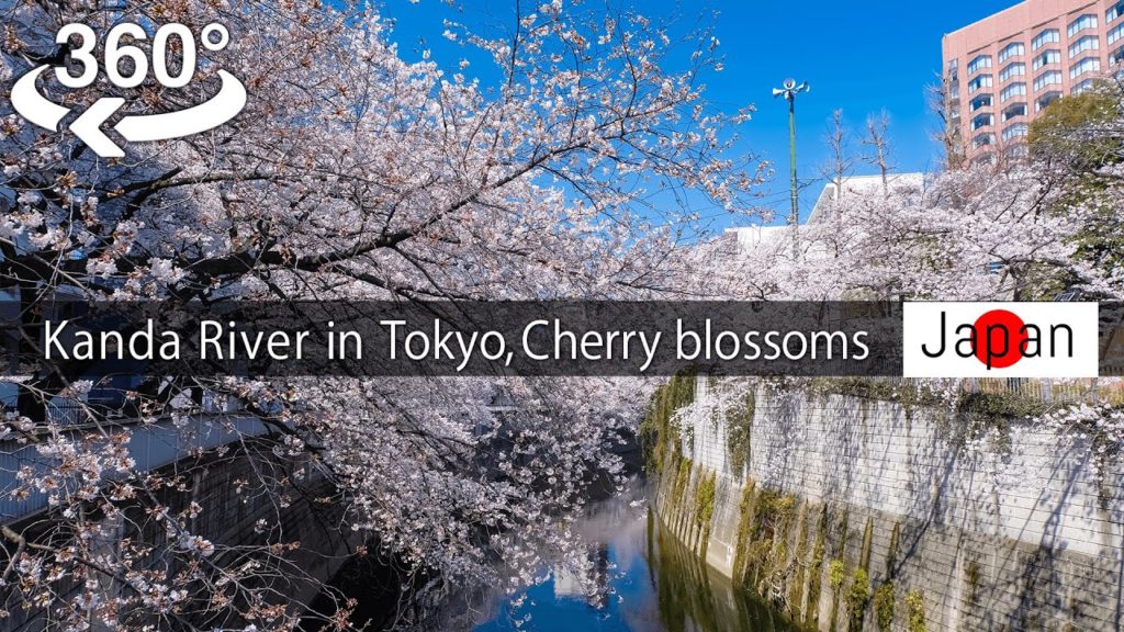 【Japan-360°video】Kanda River in Tokyo, Cherry blossoms viewing 桜(Sakura) 【5K VR】 【Japan-360°video】Kanda River in Tokyo, Cherry blossoms viewing 桜(Sakura) 【5K VR】