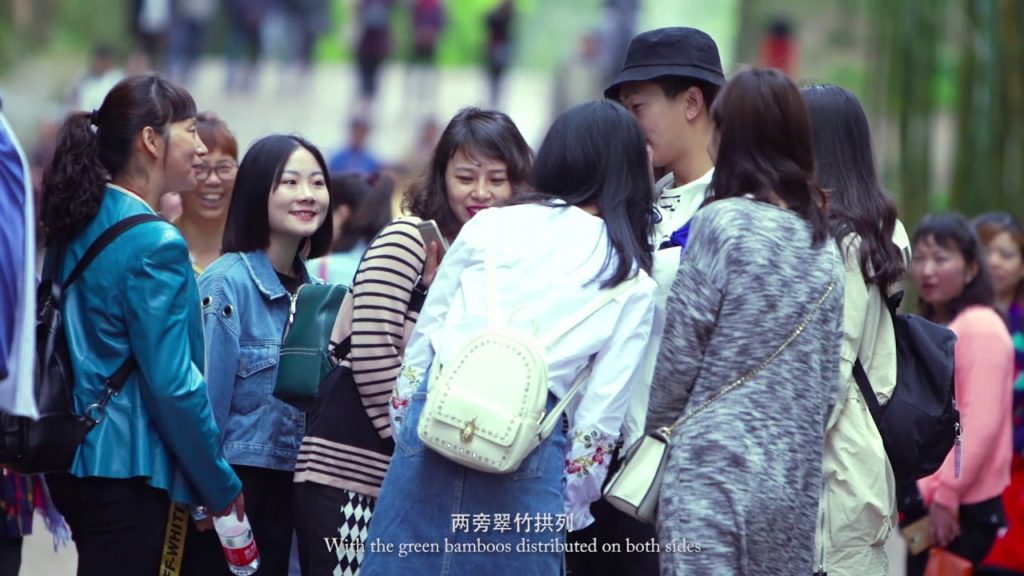 Shunan Bamboo Forest Shunan Bamboo Forest