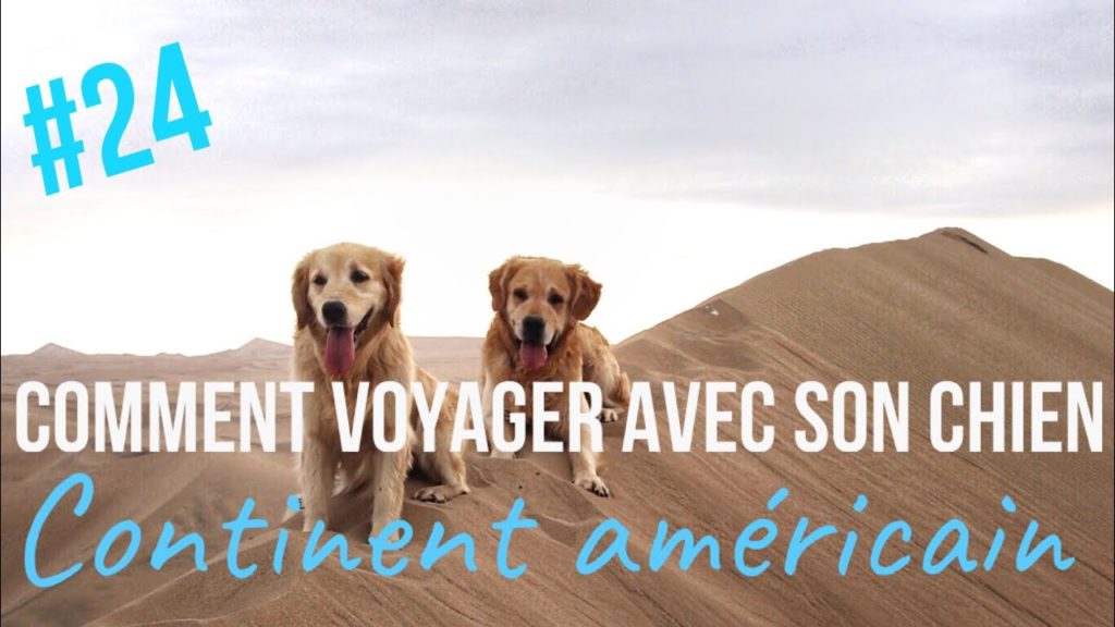 VOYAGER avec son CHIEN sur le CONTINENT AMÉRICAIN