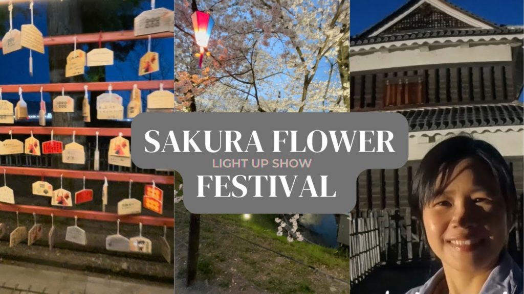Sakura Festival Light-Up Show at Ueda Ruin Castle Park|Nagano Japan|PinkSampaguita
