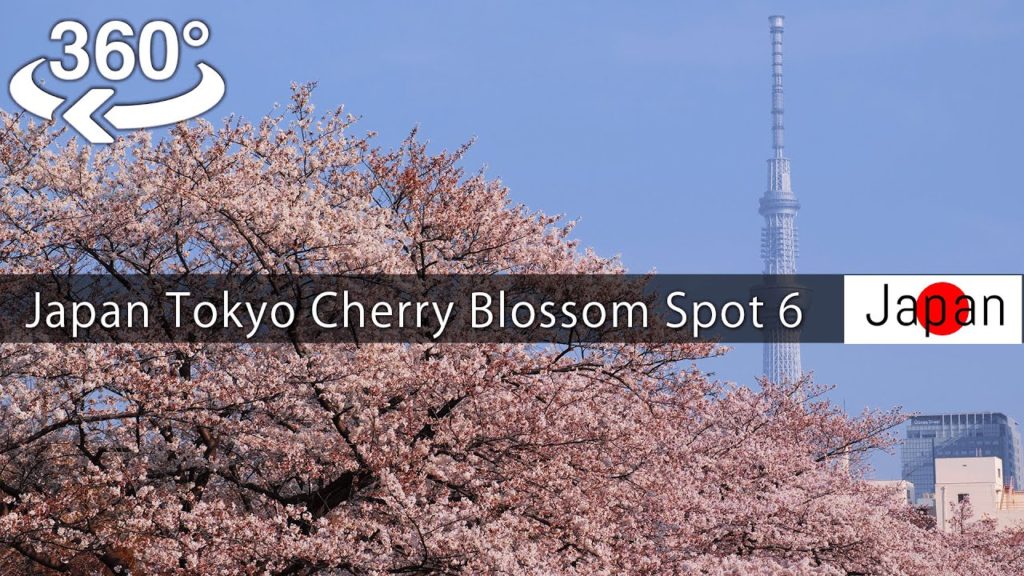 【360°video】Japan Tokyo Cherry Blossom Spot 6(sakura) 東京の桜名所6選 上野公園,千鳥ヶ淵,目黒川,呑川,神田川,隅田川【5K VR】 【360°video】Japan Tokyo Cherry Blossom Spot 6(sakura) 東京の桜名所6選 上野公園,千鳥ヶ淵,目黒川,呑川,神田川,隅田川【5K VR】