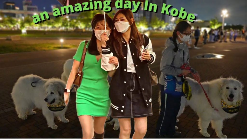 Japan's Paradise for innumerable Attractions and Activities