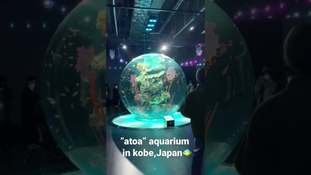 “atoa" Aquarium in Kobe,Japan 🐟#shorts