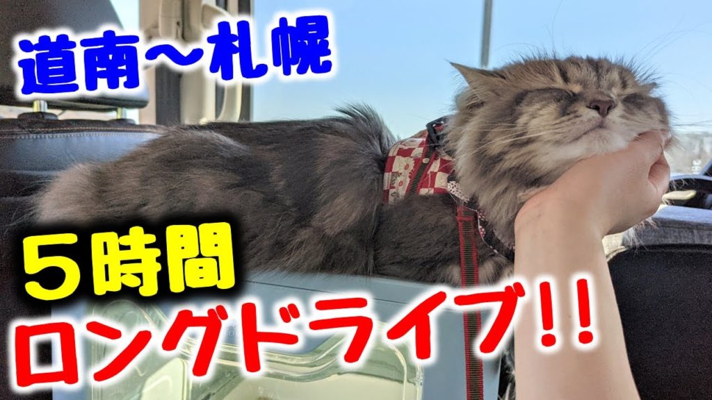 【北海道ドライブ】日本海の車窓と道南グルメを楽しみつくす札幌までのロングドライブ!【春の函館・松前の旅 Part5】 【北海道ドライブ】日本海の車窓と道南グルメを楽しみつくす札幌までのロングドライブ!【春の函館・松前の旅 Part5】