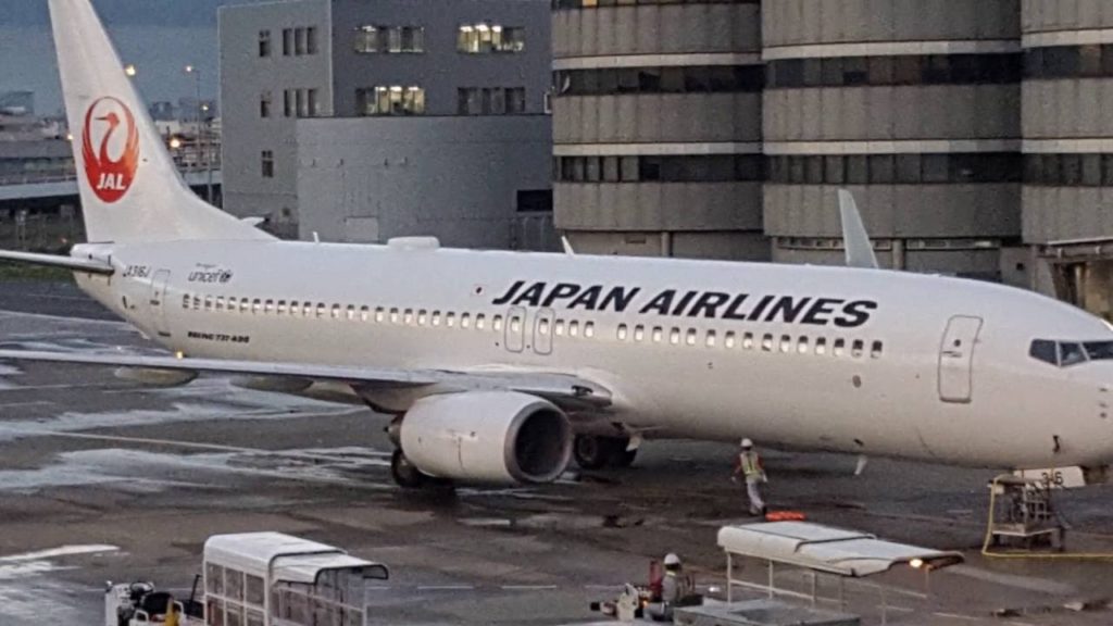 JAL JL209 – Tokyo Haneda to Nagoya – Boeing 737-800 (JA316J) JAL JL209 - Tokyo Haneda to Nagoya - Boeing 737-800 (JA316J)