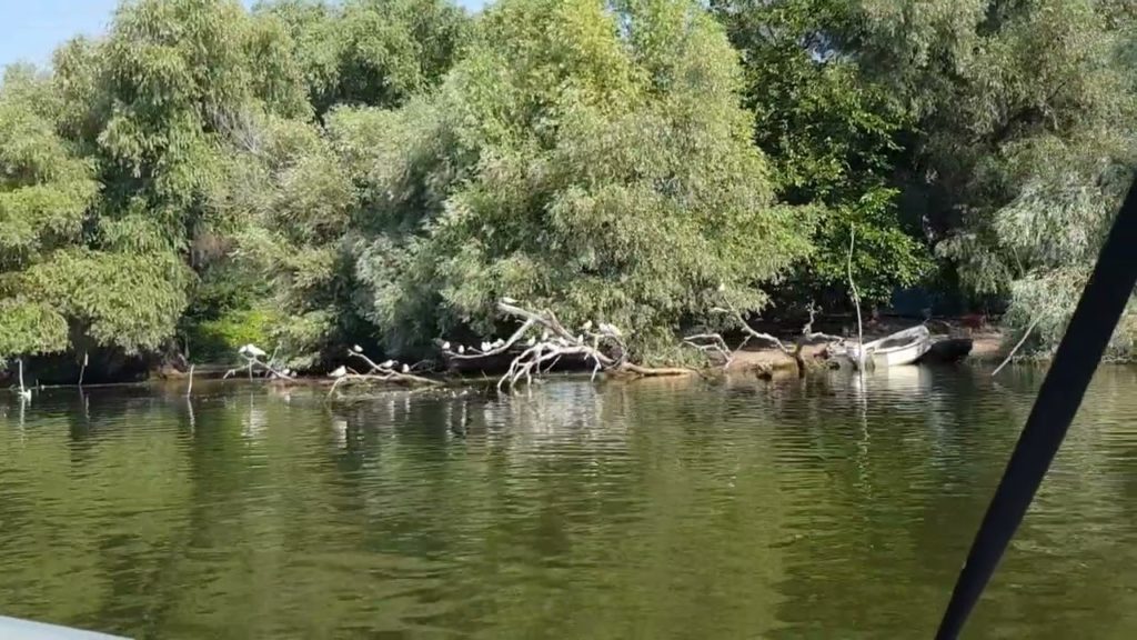 Boat trip Danube Delta Wildlife