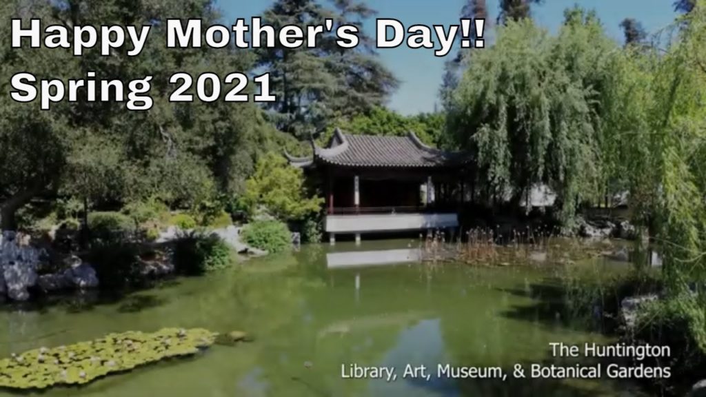 The Huntington - Mother's Day 2021 #thehuntington #mothersday #mothersdaygifts2021