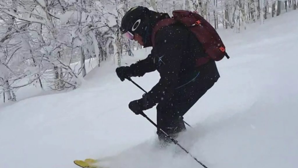 High Intermediate (in powder) - Ability Levels