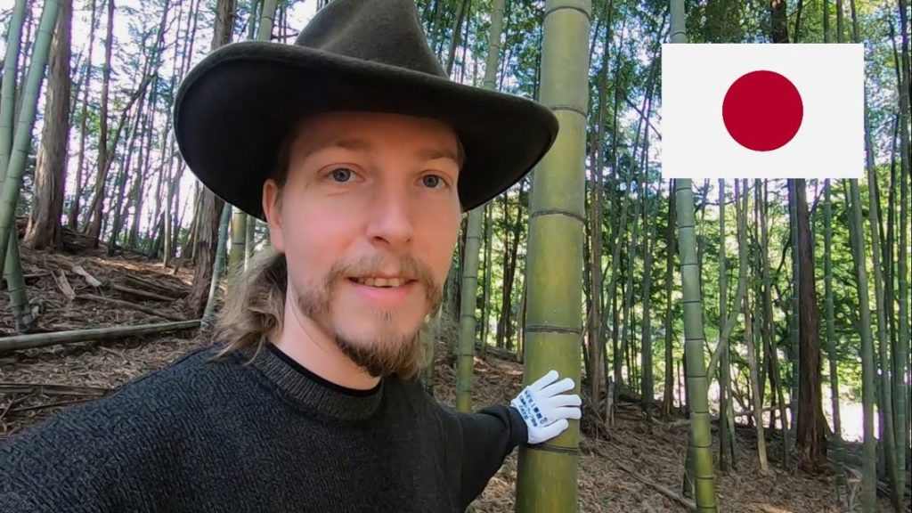 Wir ernten Bambus! Landleben in Japan im Umland von Hiroshima. Wir ernten Bambus! Landleben in Japan im Umland von Hiroshima.