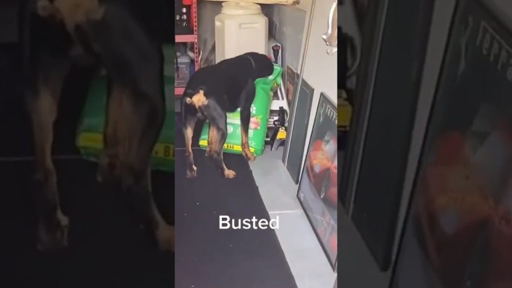 he way he spit it out๐๐ are you hungry india and turkish asian street food shorts #shorts he way he spit it out๐๐ are you hungry india and turkish asian street food shorts #shorts