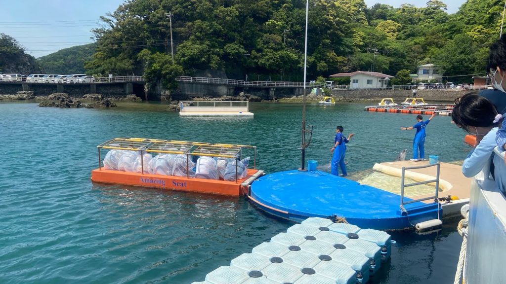 Thuỷ tiên cung Shimoda - Shimoda Underwater Aquarium