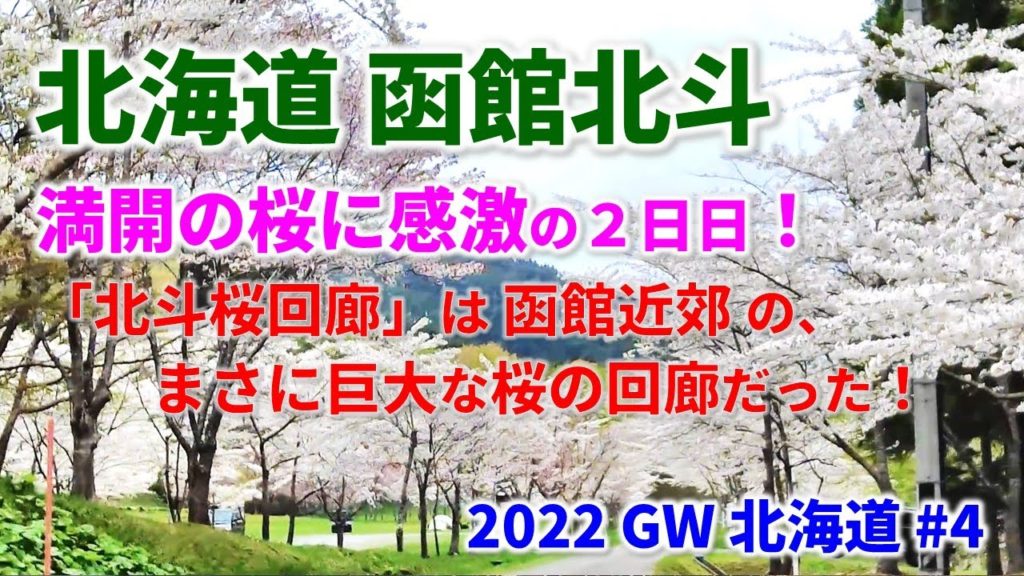 【2022GW北海道 #4】北斗桜回廊はすごい!函館の隣町、北斗市は街中、桜だらけ!北斗市の桜を楽しむ! 【2022GW北海道 #4】北斗桜回廊はすごい!函館の隣町、北斗市は街中、桜だらけ!北斗市の桜を楽しむ!