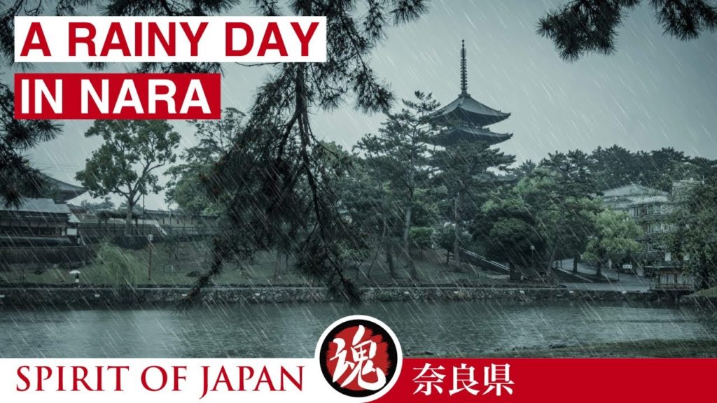Japan Heavy Rain Walk | ASMR Rain Sounds | Rainy Walking Tour