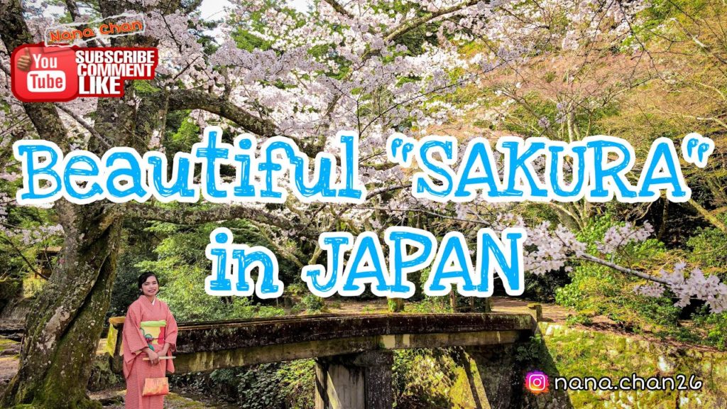 BEAUTIFUL CHERRY BLOSSOM "SAKURA" IN JAPAN ❤️❤️ Hanami bareng ORANG JEPANG BEAUTIFUL CHERRY BLOSSOM "SAKURA" IN JAPAN ❤️❤️ Hanami bareng ORANG JEPANG