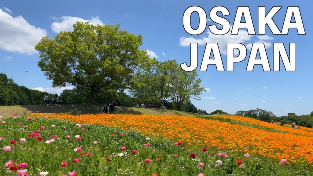 Rose garden& poppy festa in Expo '70 Commemorative Park   | Osaka, Japan 【4K】