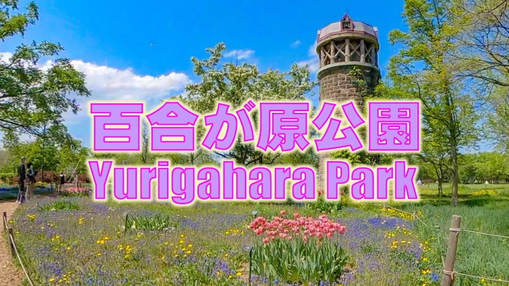 百合が原公園を歩いてきました。I took a walk in Yurigahara Park.