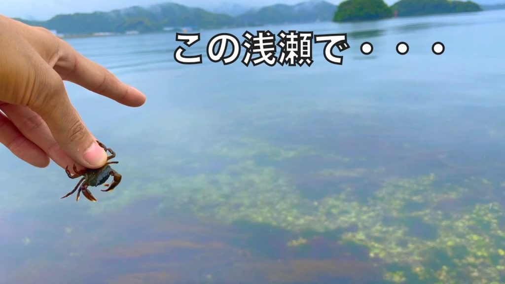 ちびカニを浅瀬の大物に見せると‥【車中泊釣り旅北海道編・始まり】 ちびカニを浅瀬の大物に見せると‥【車中泊釣り旅北海道編・始まり】