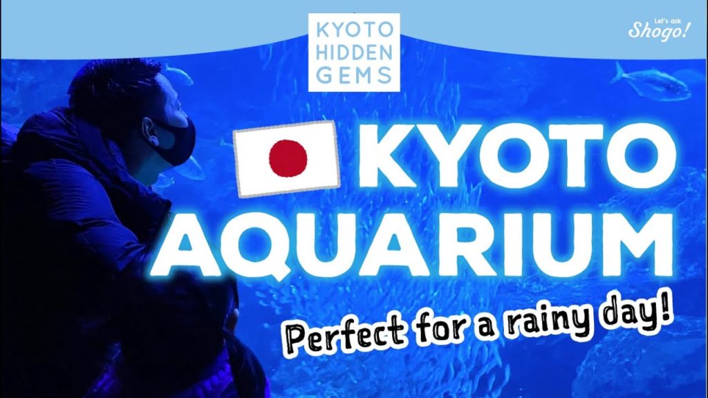 A Perfect Option for a Rainy Day in Kyoto A Perfect Option for a Rainy Day in Kyoto