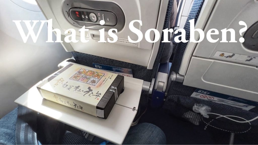 Japanese Bento Lunch on ANA Flight | Tokyo to Osaka Japanese Bento Lunch on ANA Flight | Tokyo to Osaka