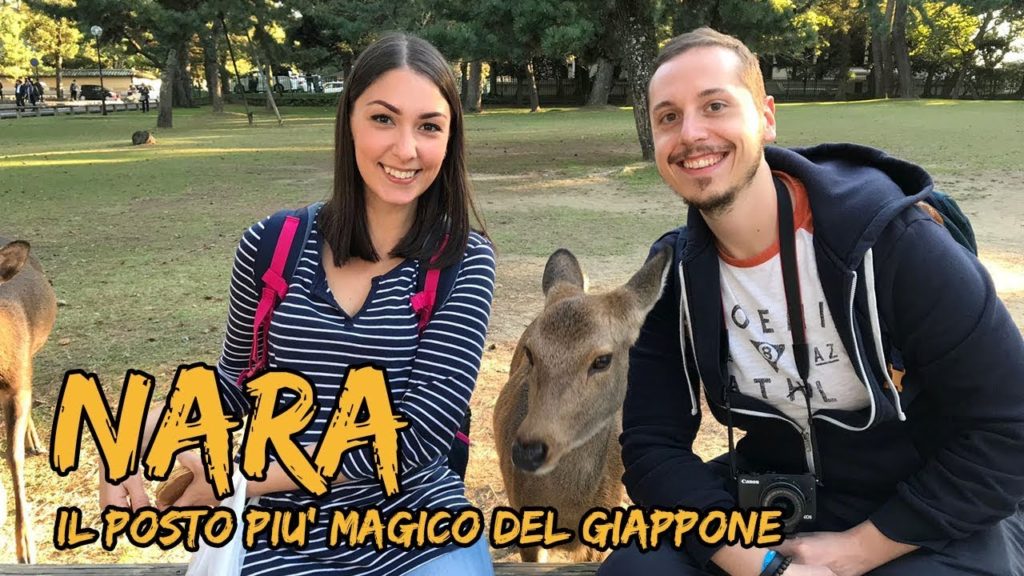 GIAPPONE giorno 8: NARA è il posto più magico che abbiamo visto! GIAPPONE giorno 8: NARA è il posto più magico che abbiamo visto!