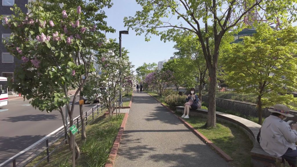 【4K】2022 日本 北海道 札幌 中央区 創成川 ライラック 散策【Binaural Audio】 【4K】2022 日本 北海道 札幌 中央区 創成川 ライラック 散策【Binaural Audio】