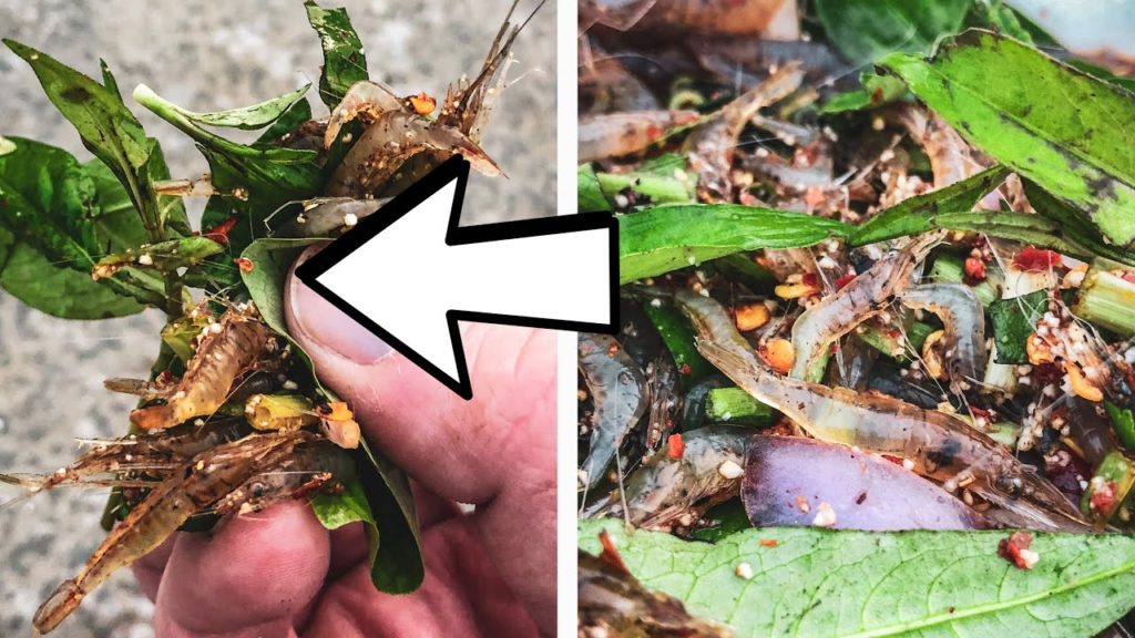 ⚠️ Eating live shrimp salad Pattaya Thailand ⚠️ Eating live shrimp salad Pattaya Thailand