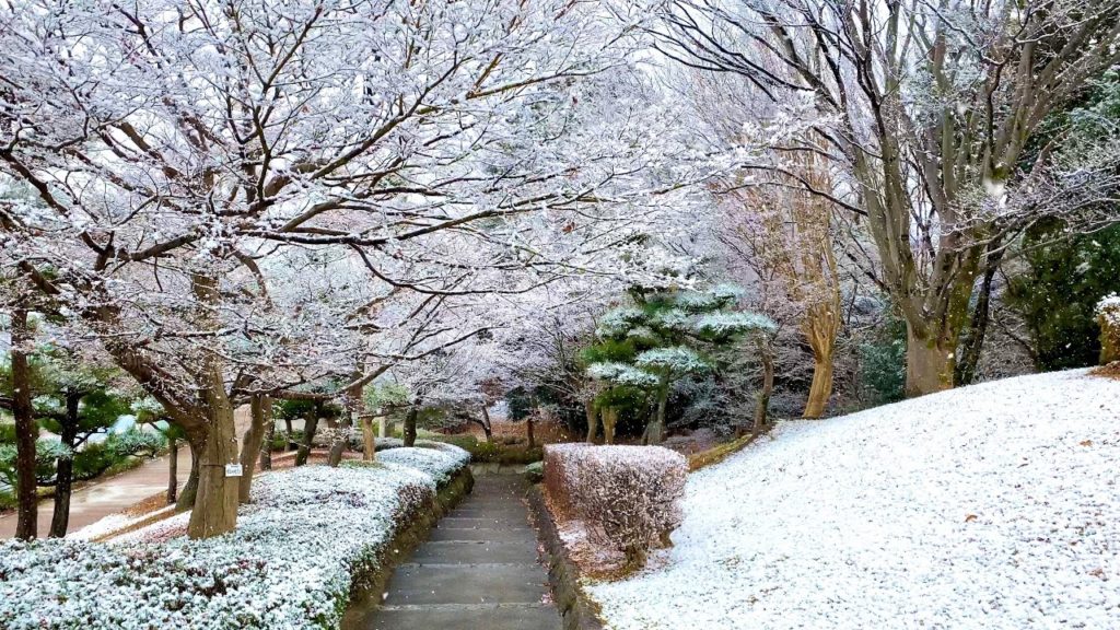 【4K】Heavy Snowfall Walk in Modern Japanese Neighborhood (Nagakute, Nagoya) 【4K】Heavy Snowfall Walk in Modern Japanese Neighborhood (Nagakute, Nagoya)