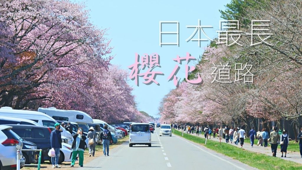 北海道日高半島之櫻花百選朝聖，後疫情時代首次沒有移動限制的日本黃金週 | 4K | 日高靜內 | 今天去哪裡