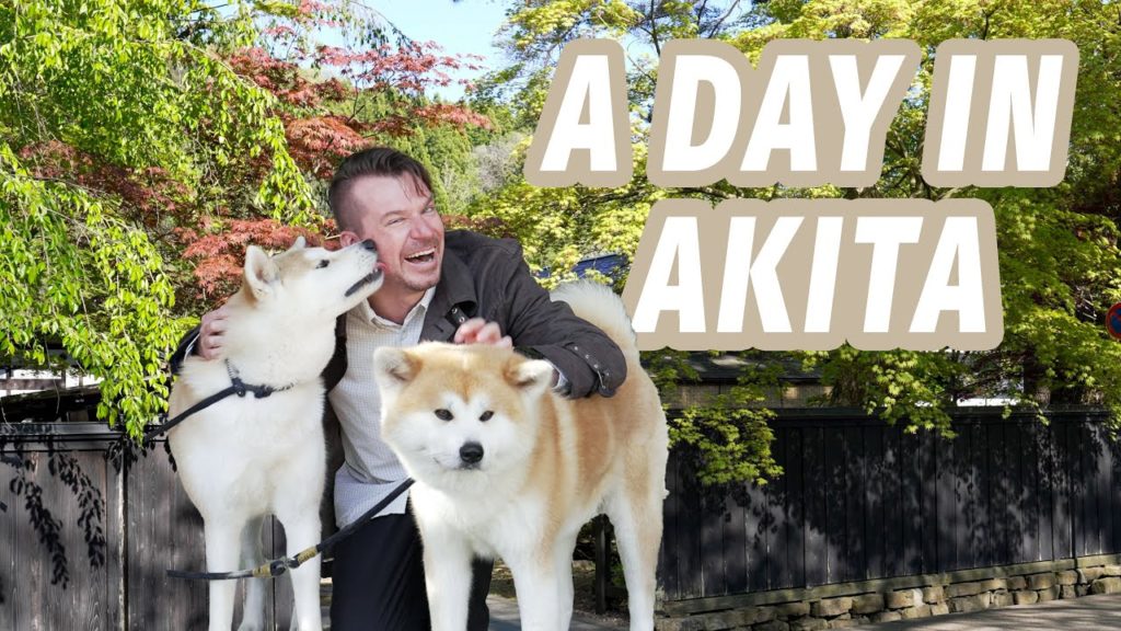 Visiting the Samurai Residence District in Kakunodate, Akita Visiting the Samurai Residence District in Kakunodate, Akita