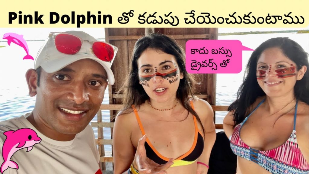 Swiming With Pink Dolphin In Amazon River | Pink River Dolphin
