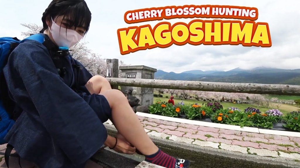🌸CHERRY BLOSSOM TRIP in JAPAN | KAGOSHIMA DAY - 3