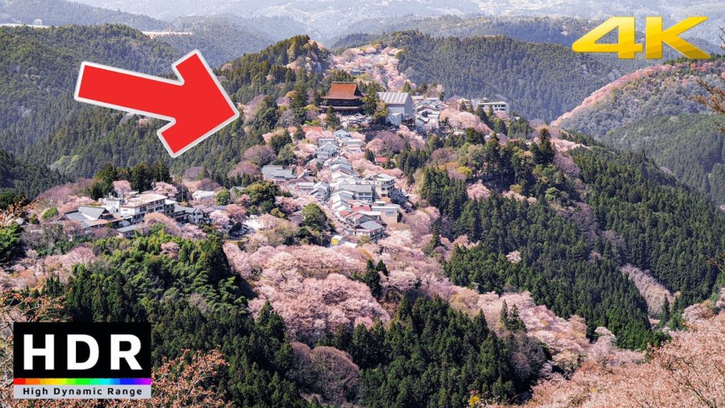 4K HDR Japan's World Heritage Cherry Blossoms - Mt. Yoshino Sakura - 2 hours