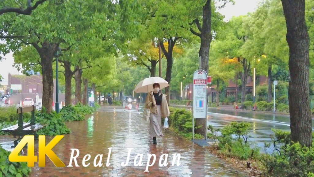 Walking in Rain at evening in Ebisu, Shibuya-ku, Tokyo, Japan - Ambience ASMR 4K