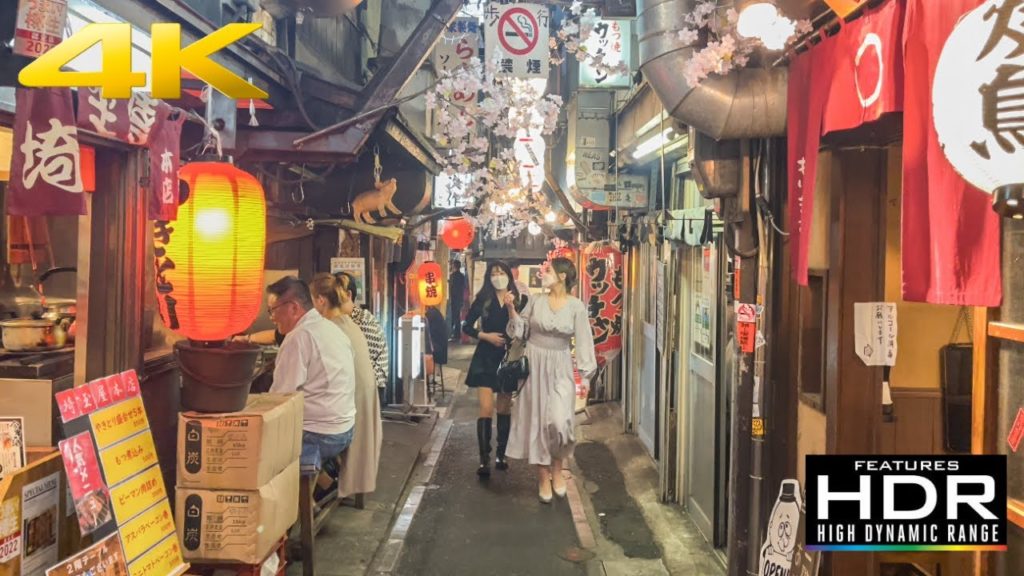 🏮 Party Night In Omoide Yokocho (Piss Alley) | Izakaya, Japanese Street Food & Good Vibes!