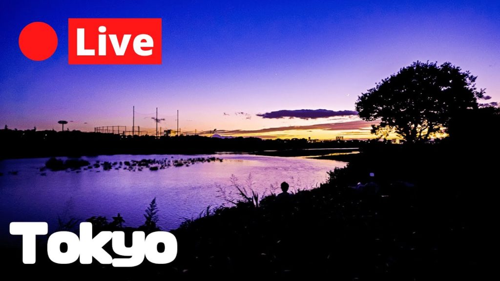 Tokyo LIVE Sunday Afternoon - Vending Machine Gyoza