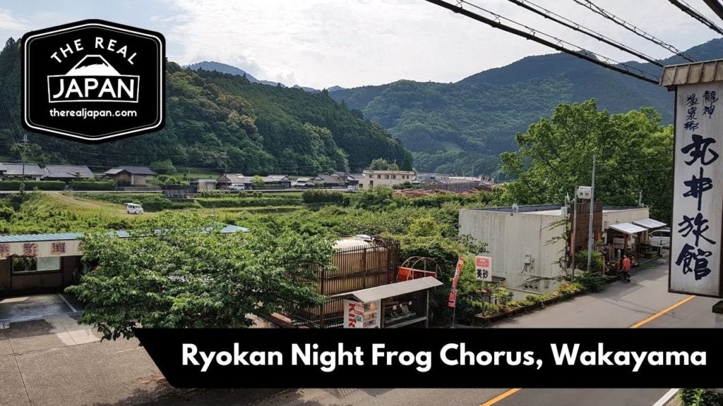 Ryokan Night Frog Chorus, near Ryujinmura, Wakayama Prefecture | The Real Japan | HD