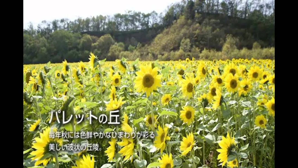 CHITOSE HOKKAIDO JAPAN（本編）