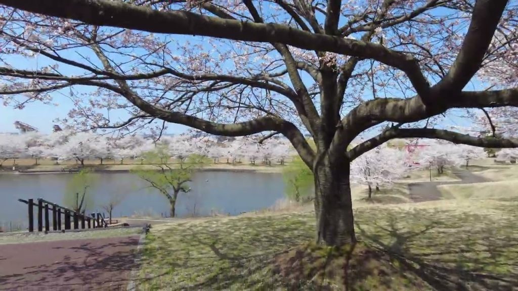 4K Japan Walk –  NIIGATA NAGAOKA Neighborhood Walking Tour | 新潟長岡 2022 4K Japan Walk -  NIIGATA NAGAOKA Neighborhood Walking Tour | 新潟長岡 2022