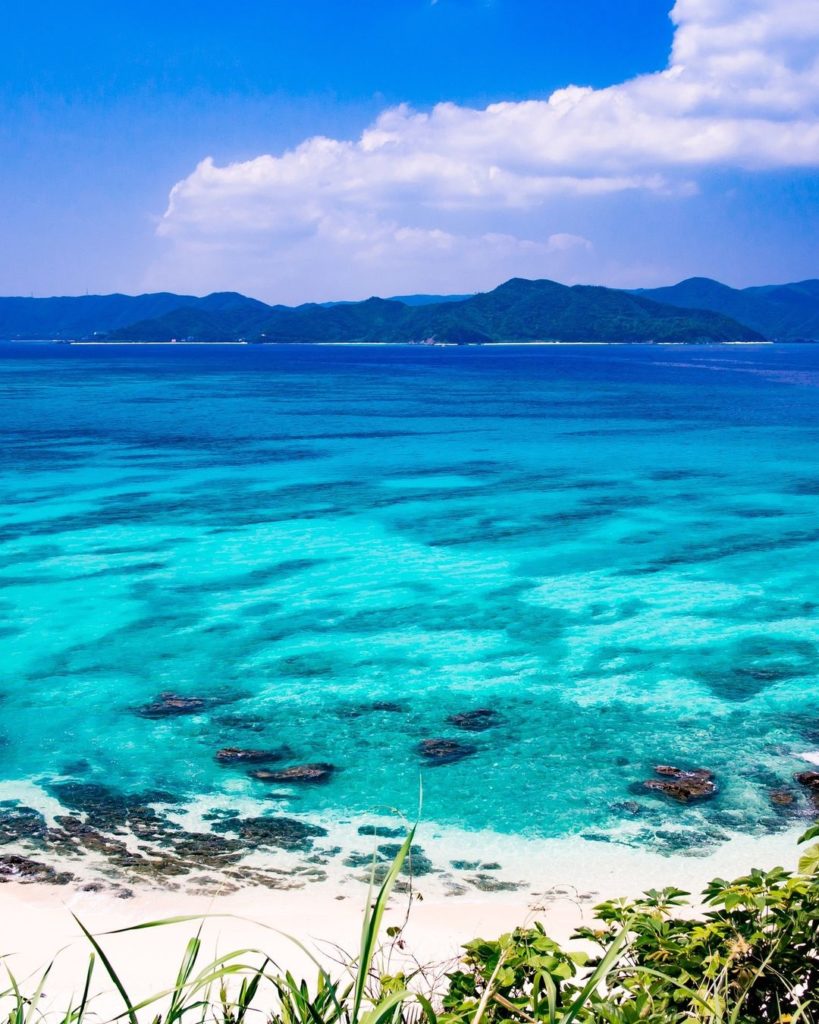 Discover the UNESCO World Natural Heritage Site of Amami Oshima in Kagoshima Pre...