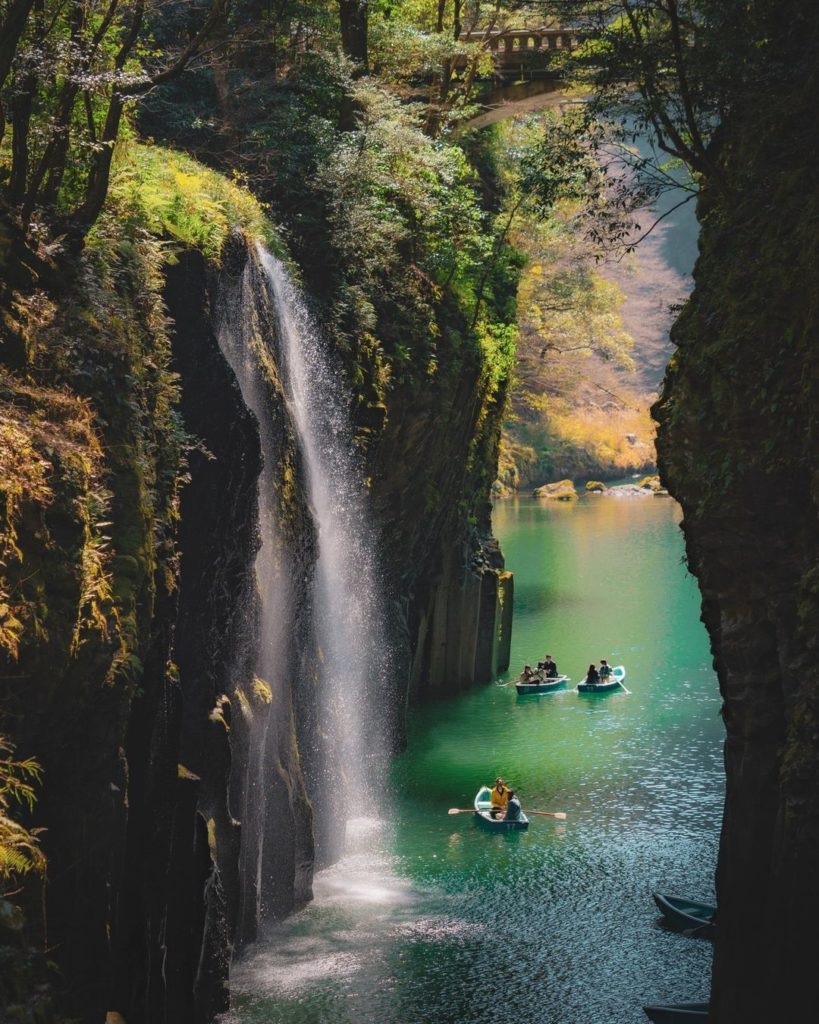 You'd be forgiven if you thought this was a scene out of Jurassic Park ⁠
⁠
Altho...