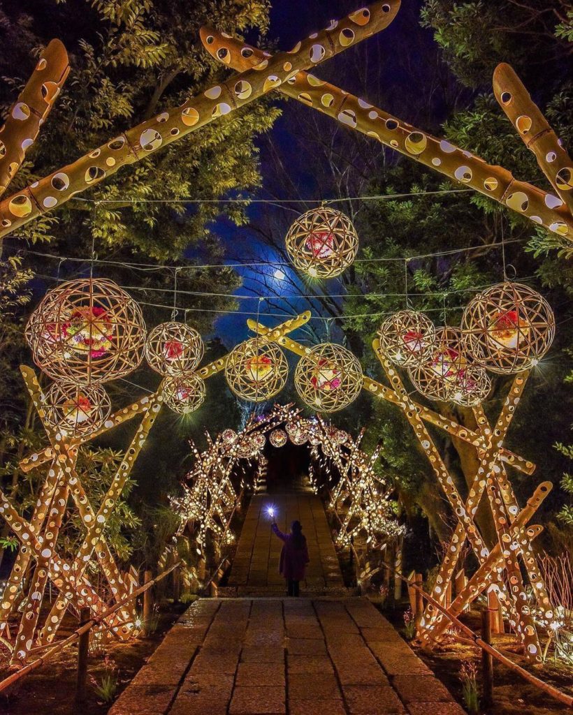 Opened in 2020 next to Yomiuriland, entertainment flower park HANA・BIYORI is pac...