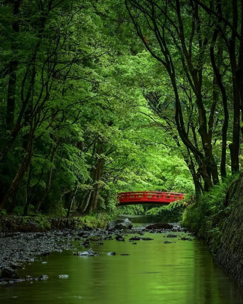 Care to see what life looked like back when people coexisted with nature? 
In th...