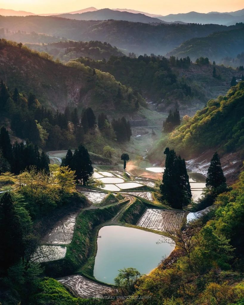 Japan Travel: For many places in Japan, rice planting season is just around the corner! These… For many places in Japan, rice planting season is just around the corner! These...