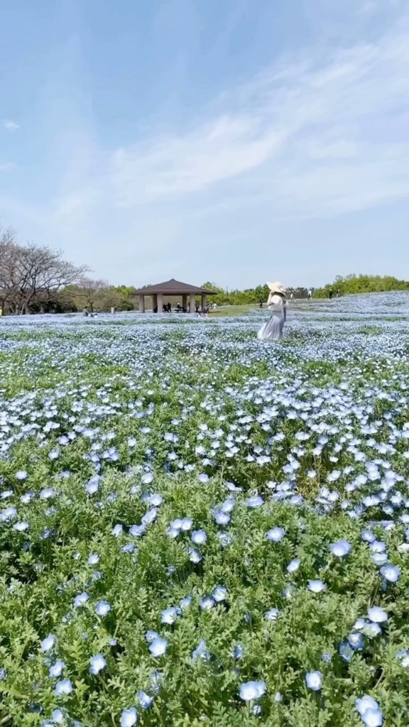 Dreaming about your next spring escape? Let us introduce you to Uminonakamichi S...