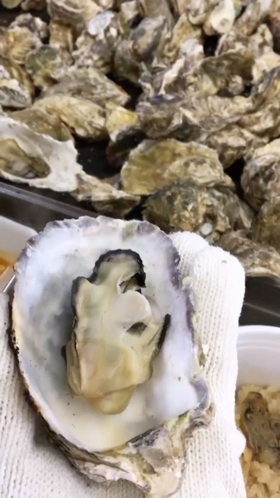 Visit Japan: The freshest all-you-can-eat oysters for just $25 AUD?! Know anyone who’d love … The freshest all-you-can-eat oysters for just $25 AUD?! Know anyone who'd love ...