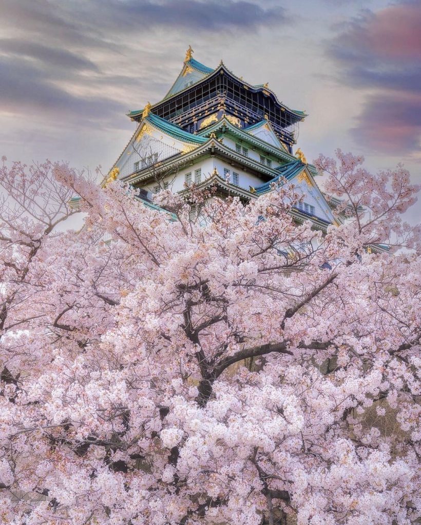 Visit Japan: Castles normally rest on a stone foundation, but in this photo, Osaka Castle see… Castles normally rest on a stone foundation, but in this photo, Osaka Castle see...