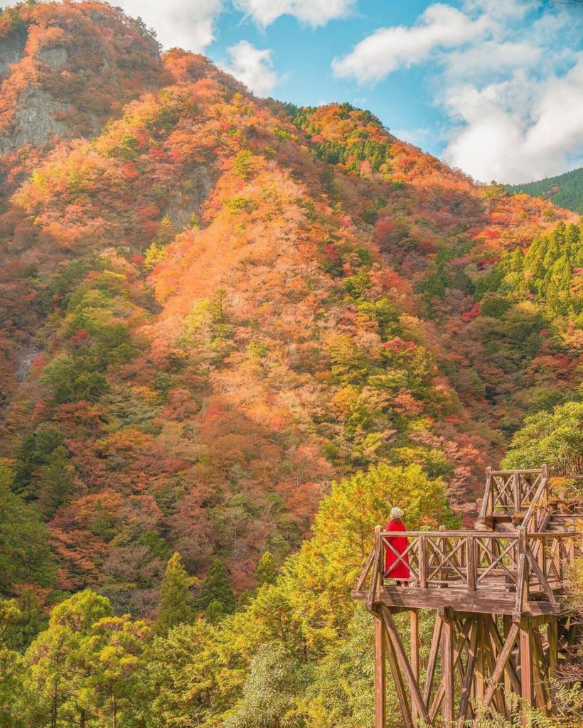 The observation deck at Konose Gorge is the perfect vantage point for spectacula...
