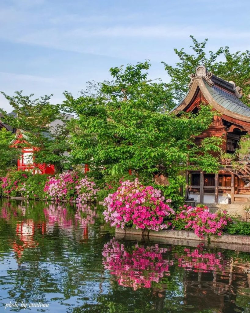 Japan Travel: A little glimpse into spring at Kyoto’s Shinsen-en Garden. *These photos were… A little glimpse into spring at Kyoto's Shinsen-en Garden. *These photos were...