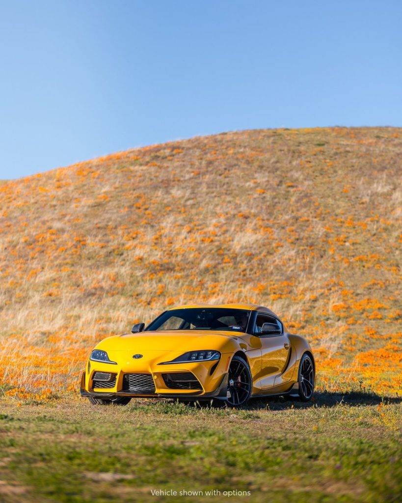 𝙎𝙪𝙥𝙧𝙖bloom.  #Supra #LetsGoPlaces...